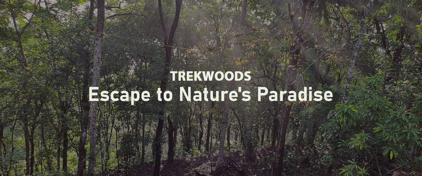Trekwoods