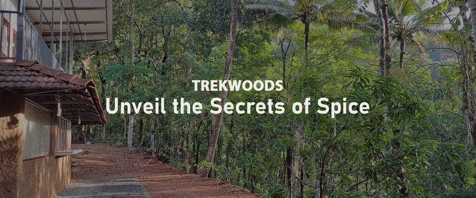 Trekwoods